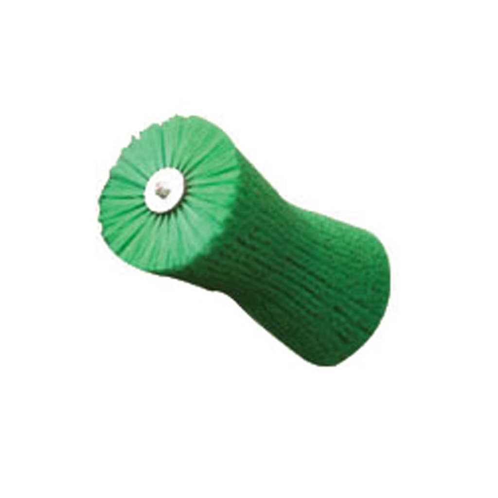 Spare part image Borstel MS en Agricow Koeborstel, groen